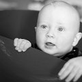 Gal_131805_0122 copy